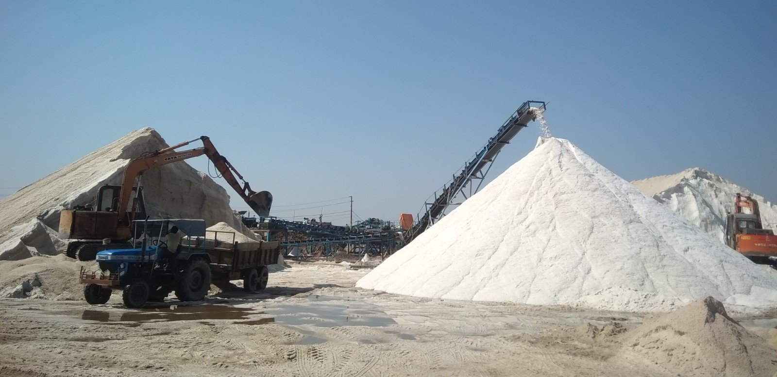 Salt